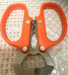 Item thumbnail for item 7b9b2916-b0b0-4d03-9fc3-2fb29ab0722e