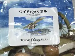 Item thumbnail for item 75276c8d-3ff5-4cd2-811c-440aa06f488a