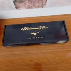 MizunoPro ストレッチベルト 109cm対応 ブラック