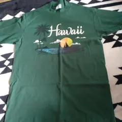 ビンテージ　90年代　米製　シングルス　ハワイ風景プリント 緑 Tシャツ