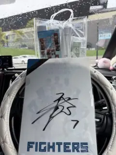 FIGHTERS サイン入りアイテム 松本剛 7