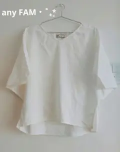 ‧˚₊*̥美品 any FAM Vネック リネン×レーヨン カットソー‧˚₊*̥
