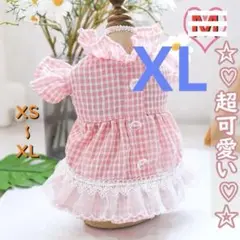 XL薄手レース付チェックチェックフリフリワンピースドッグウェア 春夏犬の服 猫服