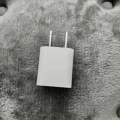 Apple 電源アダプター