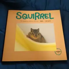 Squirrel : リス&モモンガコレクション　美品　かわいい