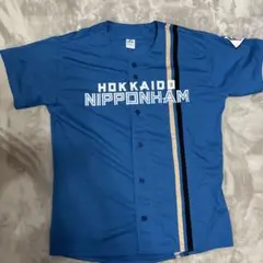 松本剛　北海道　日本ハム　ビジター　L