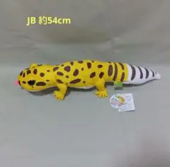 レオパのきいちゃん なかよしJB ぬいぐるみ レオパードゲッコー きいちゃん ②