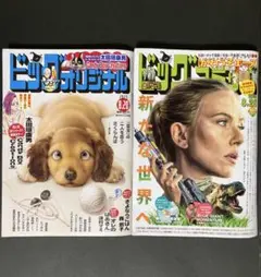 ビッグコミック 8月25日号 ビッグコミックオリジナル 8月20日号