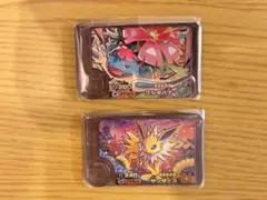 ポケモンフレンダ　ワンダーピック　フシギバナ/サンダース