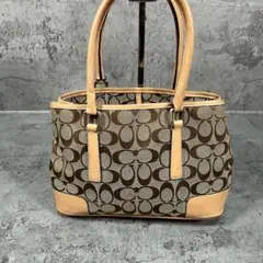 【COACH】 コーチ シグネチャー ハンド バッグ レディース