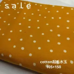 Item thumbnail for item 60f461de-b4e3-4db4-94d1-08310ccfdaf6