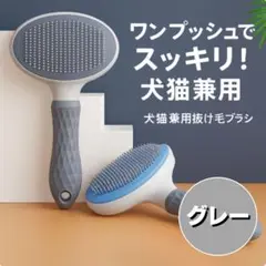 Item thumbnail for item ad07b226-4918-49f6-8161-1c024ef2e328