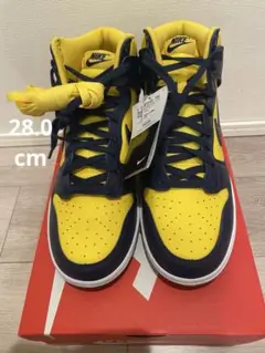 2025年　NIKE DUNK HI RETRO SE 28.0