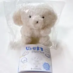 じょせまる　ぬいぐるみ　じょせまる(白) ガチャガチャ