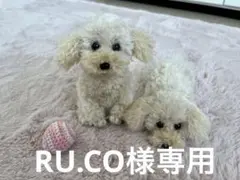 【専用】RU.CO様