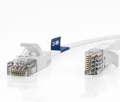 2M×2本セット❣️CAT6 極薄 イーサネットケーブル フラット LANケーブ