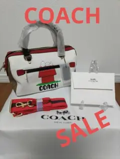 COACH コーチ 2WAY ショルダーバッグ ボストン スヌーピー レザー