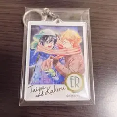KING OF PRISM キンプリ アクキー タイガ カケル