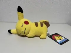 おねむりピカチュウ