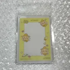 うさぎ 硬質ケース