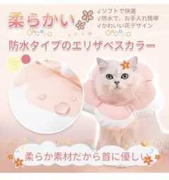 Item thumbnail for item 61a82ba9-56dc-4174-9c3e-eddfa97b7e29