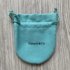 TIFFANY ティファニー　巾着袋　未使用　説明書付き