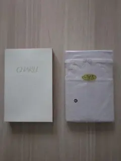 Item thumbnail for item 06def160-882a-4590-8f39-0a916c657fe8