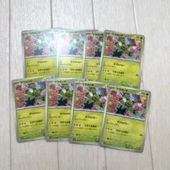 ＊マラカッチ4枚