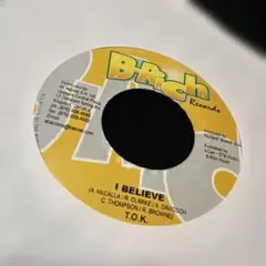 ✳︎名盤✳︎レア盤✳︎T.O.K. I Believe