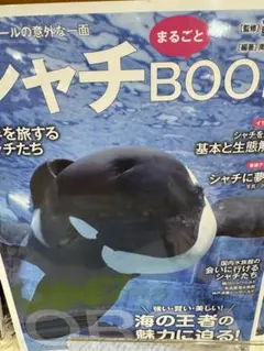 【新品未読品】シャチまるごとBOOK/南幅俊輔/鴨川シーワールド/送料無料