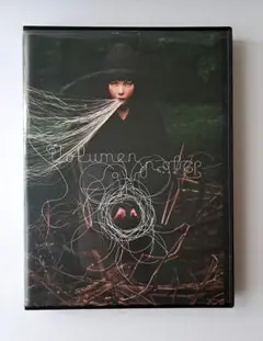 ビョーク　Bjork ヴォリューメン+2 日本版　2枚組　DVD