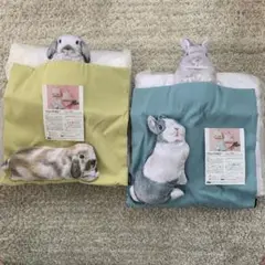 2個　しらとあきこ ぴょこっと顔出すうさぎとくつろぐクッションの会　フェリシモ