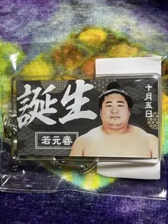 大相撲　バースデーキーホルダー　ファンクラブ限定　若元春