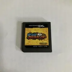 ぼくらはカセキホリダー ニンテンドーDS