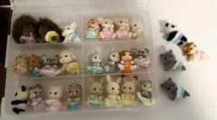 Item thumbnail for item c7b504ce-d7e4-46d0-9356-5f816e3e140b