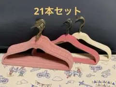 ダッチハンガー　21本セット