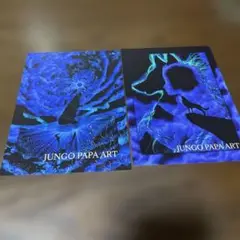 JUNGO PAPA ART ポストカード2枚