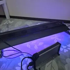2025年最新】maxspect ledの人気アイテム - メルカリ