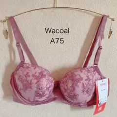 Wacoal ナチュラルアップブラ　A75