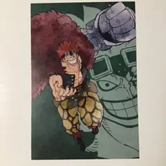 ONE PIECE 麦わらストア出張店in OIOI キッド