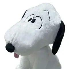 Item thumbnail for item 865da293-86d0-4b68-8ab4-a925bc6848d4