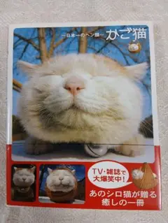 日本一のヘン顔～「かご猫」宝島社刊