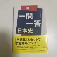 山川一問一答 日本史