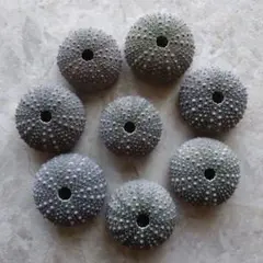 【ご確認】