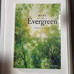 Evergreen Keep the Forest Evergreen