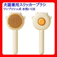 Item thumbnail for item 48d902ce-c2d2-4cf7-bd2f-53b7a86dd8c5