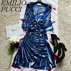 【良品】EMILIO PUCCI プッチ柄 膝丈ワンピース ブルー 七分袖 40