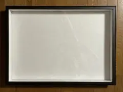 標本箱A2サイズ