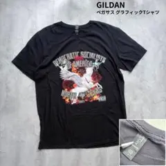【ANVIL】US古着 ペガサスグラフィックTシャツ 黒 Lサイズ