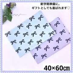 可愛いリボン柄♡ランチョンマット 大きめ 2枚セット⭐︎ 新学期準備やギフトに